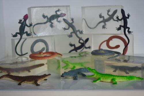Reptile toy soap