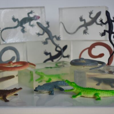 Jabón de juguete para reptiles