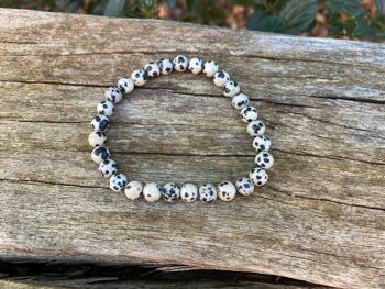 Bracelet élastique en Jaspe Dalmatien - Perles de 6mm 2