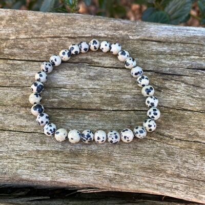 Dalmatian Jasper Elastic Bracelet - 8mm Beads