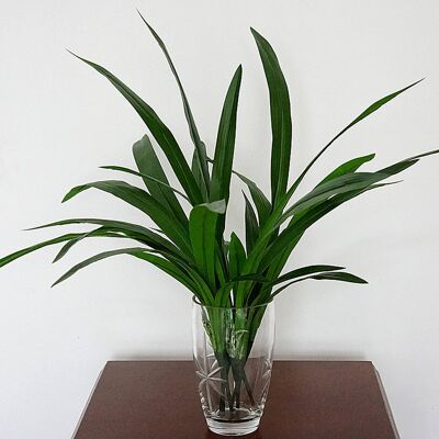 6 piezas artificiales de hoja de Cymbidium, flor de tallo único, hierba de plástico, planta falsa