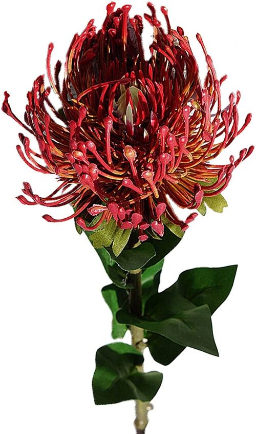 Artificial Planting Protea Flower With Long Stem