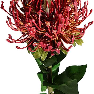 Flor de protea de plantación artificial con tallo largo