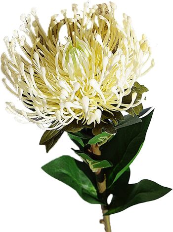 Fleur de Protea de plantation artificielle avec longue tige 3