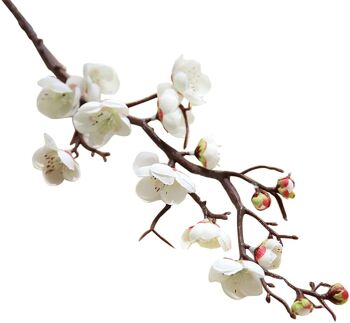 Fleurs de fleurs de cerisier artificielles en plastique de simulation en soie 1