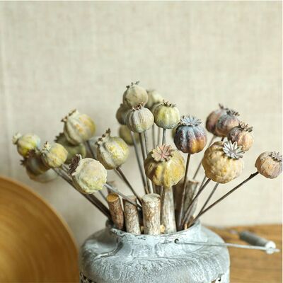 Semillas de amapola de fuegos artificiales, flores artificiales de frutos secos con racimo de 6 cabezas