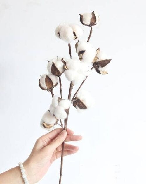 Heads of Natural Cotton Branches Artificial Flower