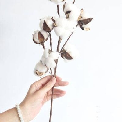 Köpfe aus natürlichen Baumwollzweigen künstliche Blume