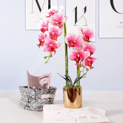 Simulazione Phalaenopsis in vaso di fiori