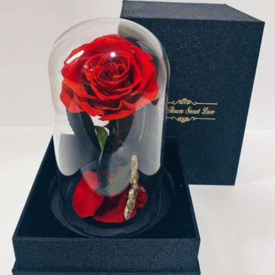 Konservierte Rosen, echte natürliche, frische Blumen, einzelne Rose, kuppelförmiges Glas