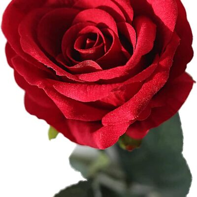 Real Touch Fleur de rose artificielle à tête unique - Fausse fleur en flanelle pour décoration d'intérieur, mariage