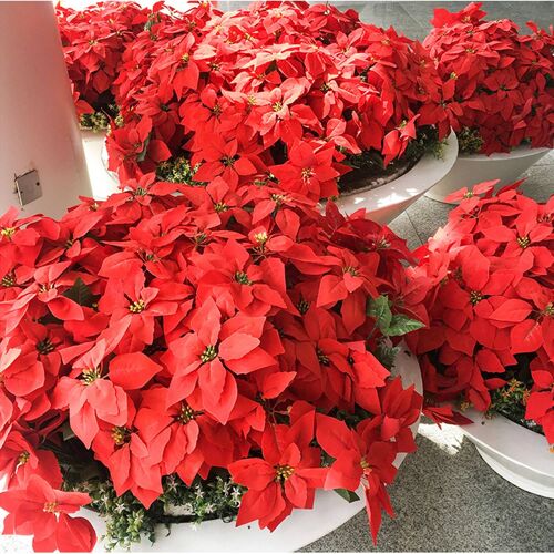 Red Poinsettia Artificial Flower Fake Silk Plant with 7 Head (50x45 cm)