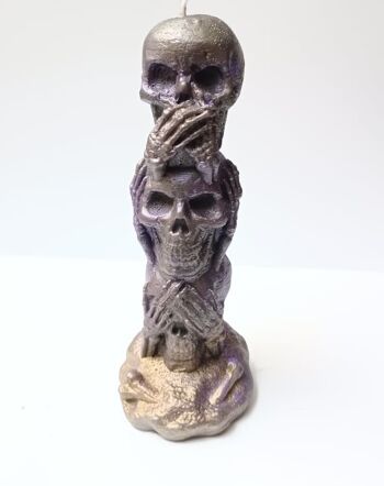 Skull and Bones - Towersnhnsn-lavande