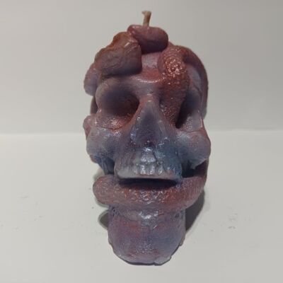 Snakes & Skull Candlesnakes-and-skull-candy-floss