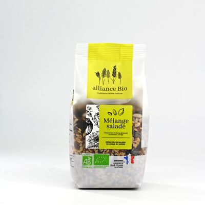Miscela di insalata biologica Francia -250g