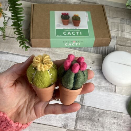 Needle felting kit - Cacti - wool craft project for beginners - creative gift idea - cactus lover - craft kit for adults