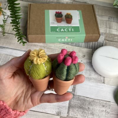 Kit de fieltro de aguja - Cactus - proyecto de artesanía de lana para principiantes - idea de regalo creativa - amante de los cactus - kit de artesanía para adultos