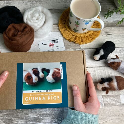 Needle Felting Kit - Guinea Pigs. Make three!