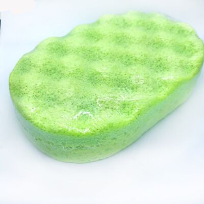 Delishus Soap Sponge