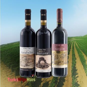 Vin blanc Shiluh Kustan 2020 - Maison de vin turque 2