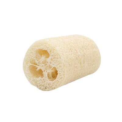 Esponja de esponja vegetal