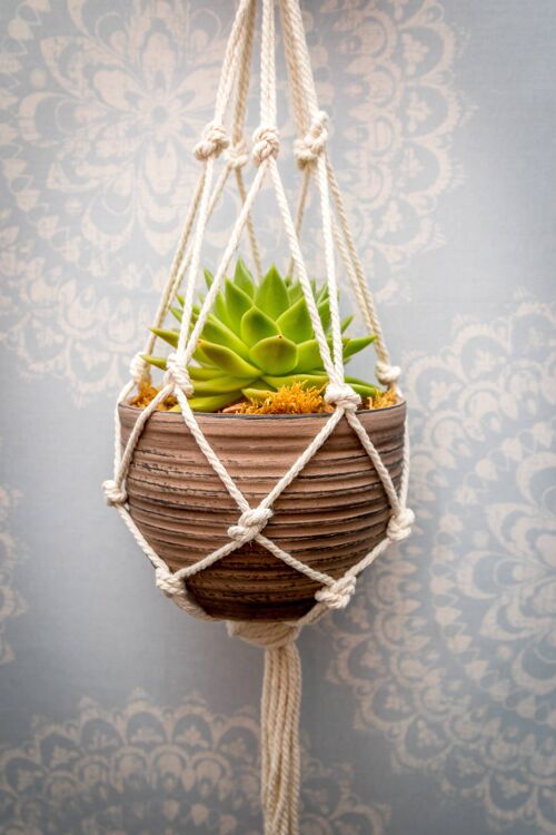 Macrame Plant Hanger Craft Kit