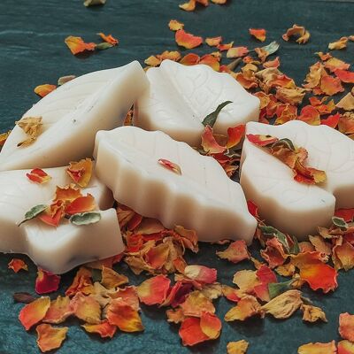 Gingerbread Wax Melts