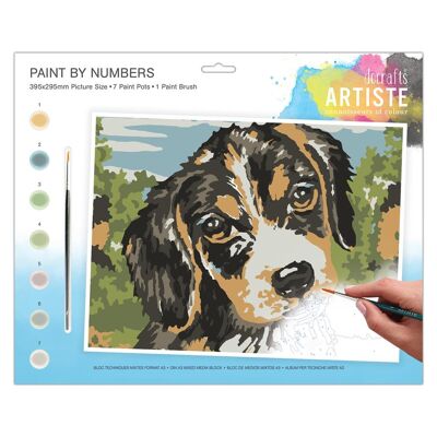 Large Paint By Numbers - Dog
