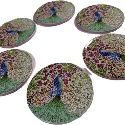 Coaster Multi Peacock