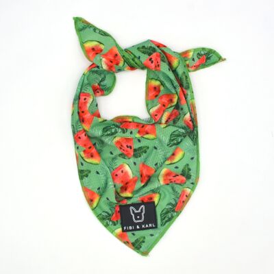 Chien Bandana Melons