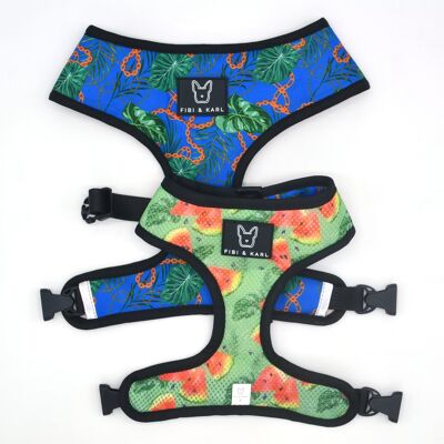 2-in-1 Exotic Melons dog harness