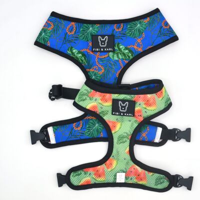 2-in-1 Exotic Melons dog harness
