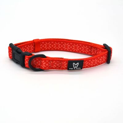 Dog collar Northstar