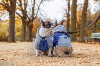 Manteau pour chien 'Nanuk' pour chiens 2