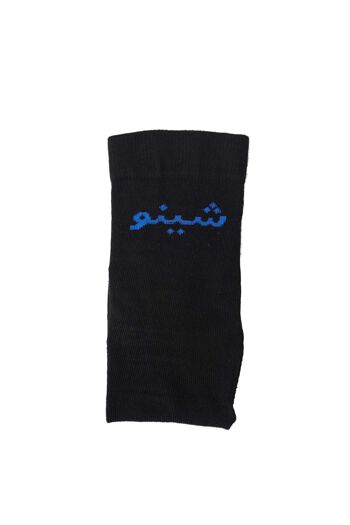 Chaussettes chemssi l