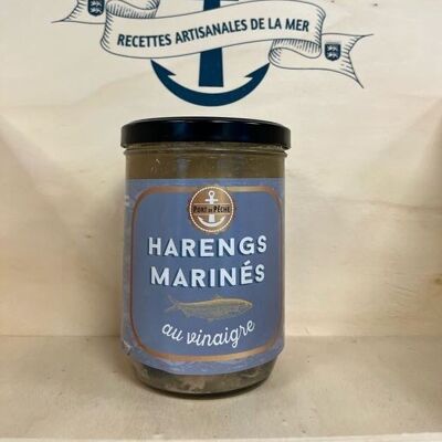 HARENGS MARINES - 800 g