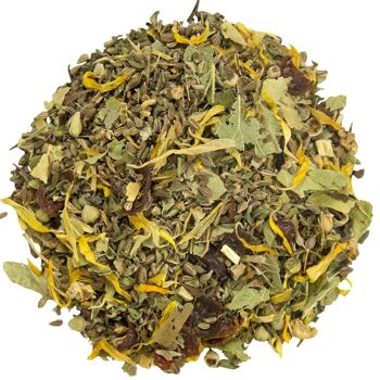 Tisane Respiratoire Eucalyptus - Anis 100g