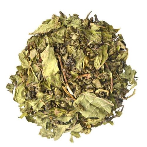 Thé vert Menthe Poivrée Bio Marrakesh 100g