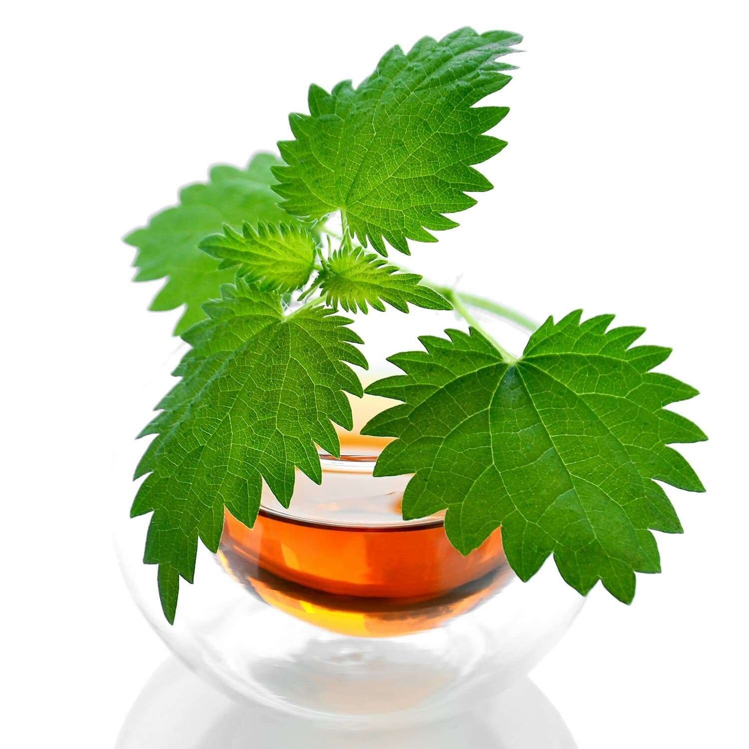 Té de hierbas de ortiga no picante 100g