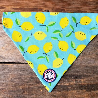 Bandana Lemon - mini (tour de cou 18-30cm)