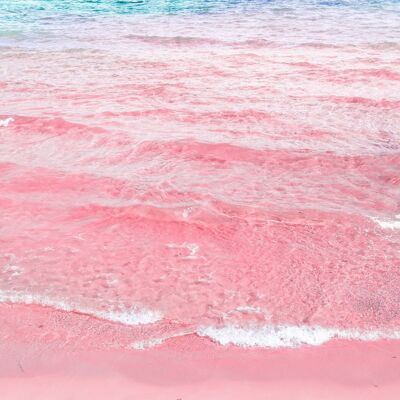 Pink Sands - Fragrance Oil 50ml