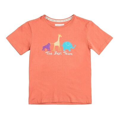 Organic cotton shirt akira chile fair trade product