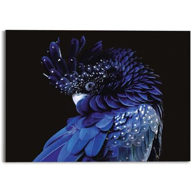 Acrilico Art Blue Pappagallo 70x50 cm