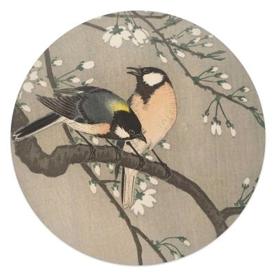 Uccelli dipinti ad arte acrilica 50x50 cm