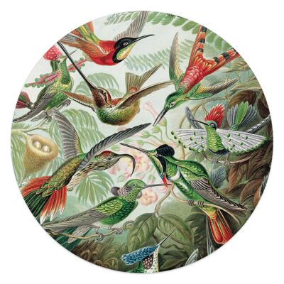 Acryl Art Kolibris 50x50 cm