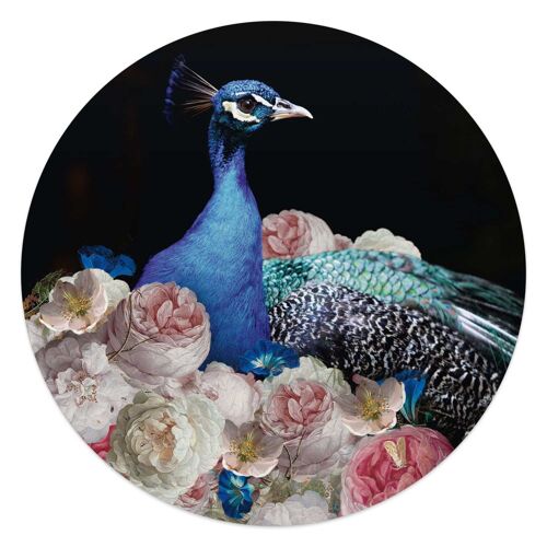 Acryl Art Peacock 50x50 cm
