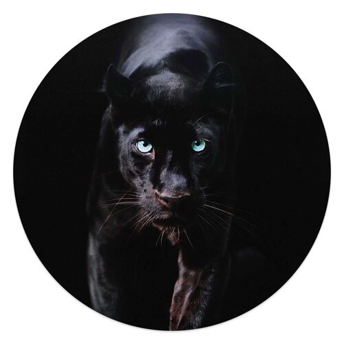 Acryl Art Black Panther 50x50 cm