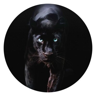 Acryl Art Schwarzer Panther 70x70 cm