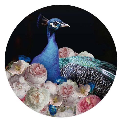Acryl Art Peacock 70x70 cm