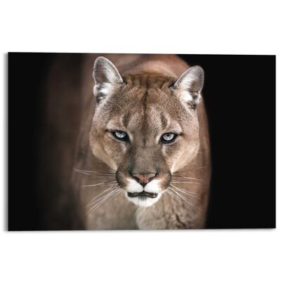 Acryl Art Puma 120x80 cm
